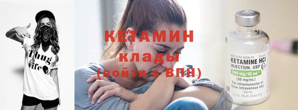 СК Бердск