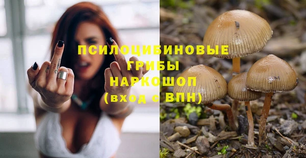 амф Абинск