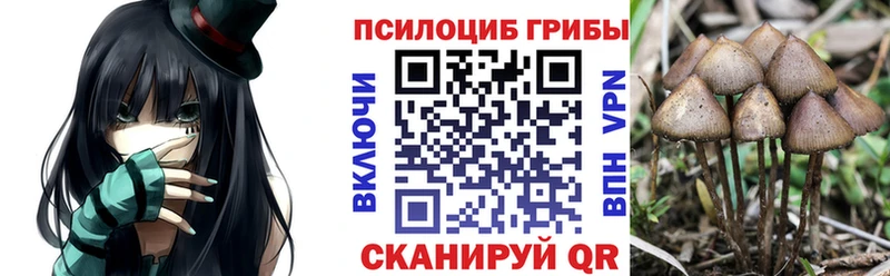 Псилоцибиновые грибы Cubensis  Тотьма 